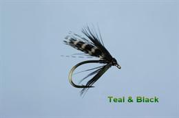 Teal and Black